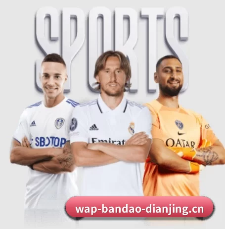 半岛电竞 APP